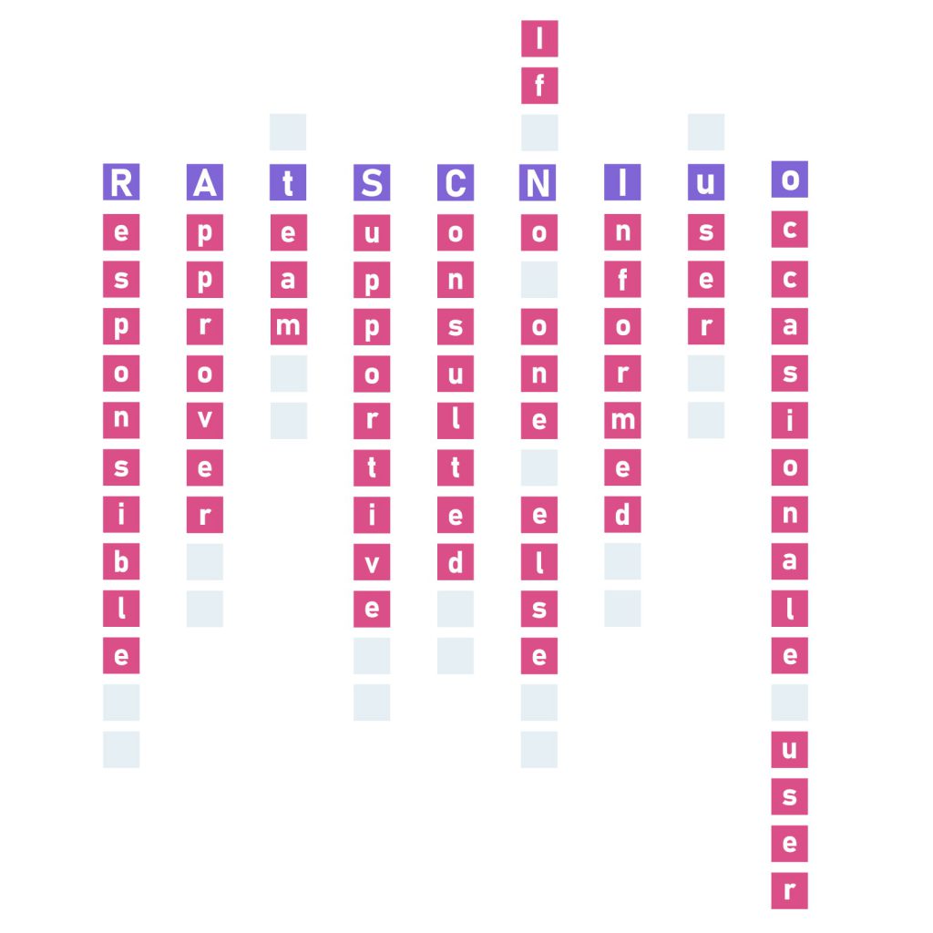 rasci model usage at Railsware